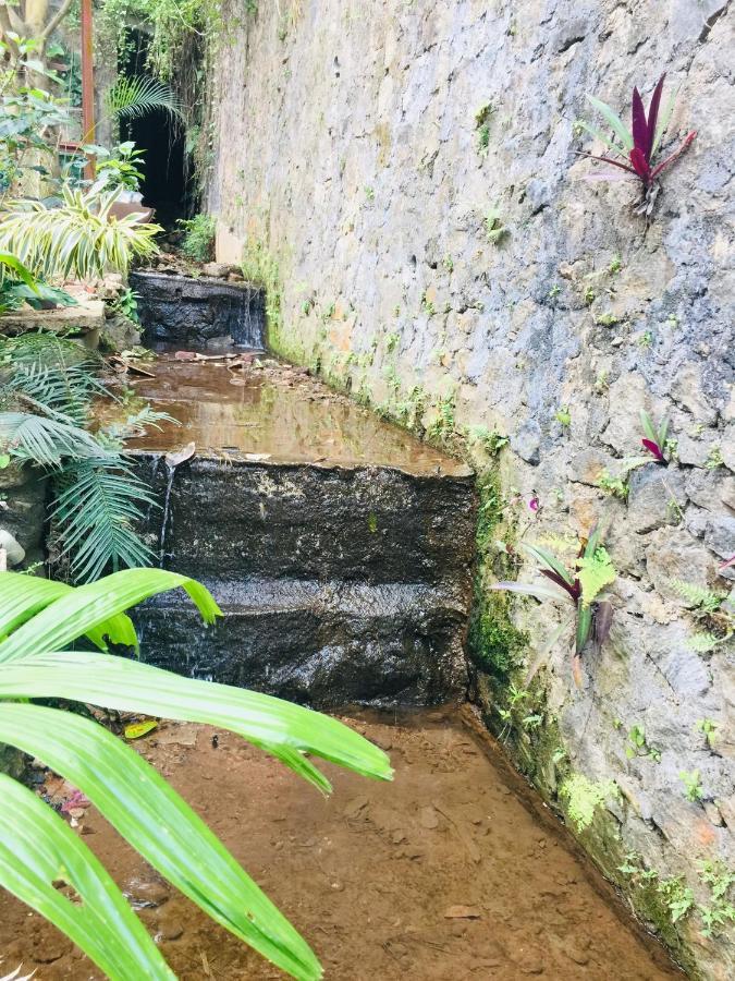 Kandy Ivy Banks Holiday Resort Kültér fotó