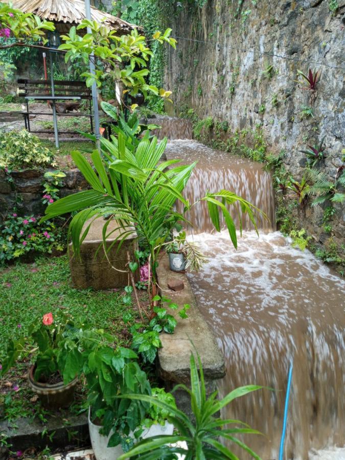 Kandy Ivy Banks Holiday Resort Kültér fotó