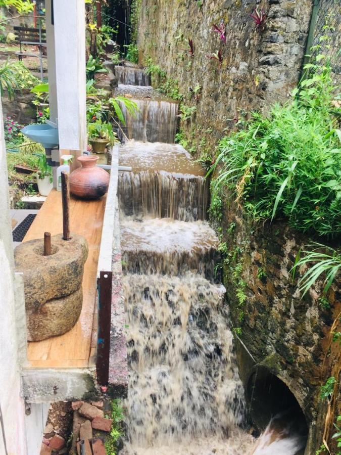 Kandy Ivy Banks Holiday Resort Kültér fotó