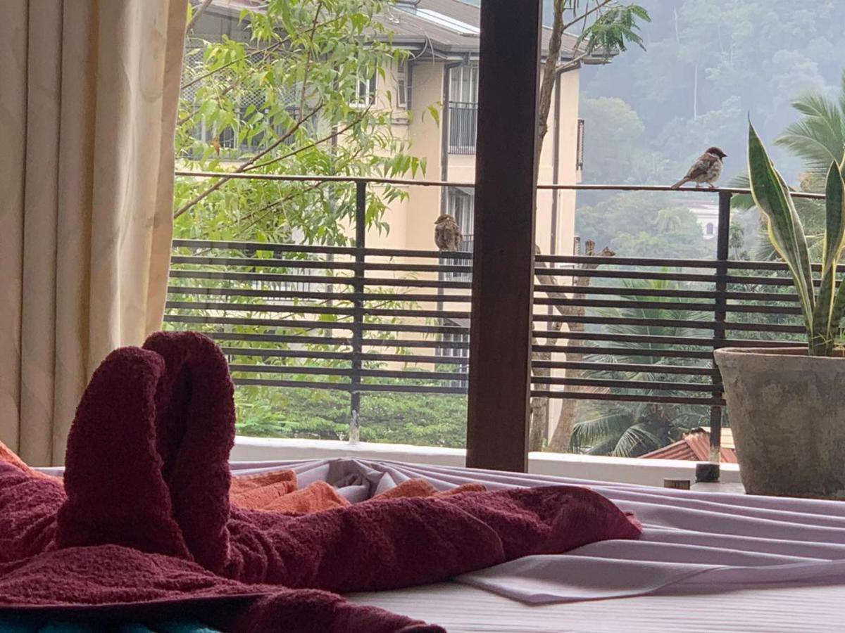 Kandy Ivy Banks Holiday Resort Kültér fotó